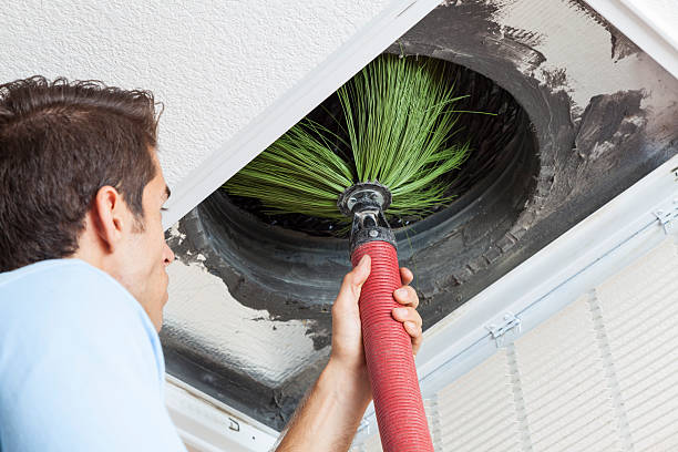 Best Local Air Duct Cleaning Services  in Norfolk, NE